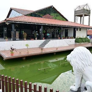 Green Gold Resort